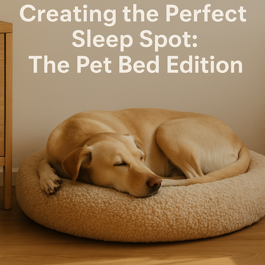Creating the Perfect Sleep Spot: The Pet Bed Edition