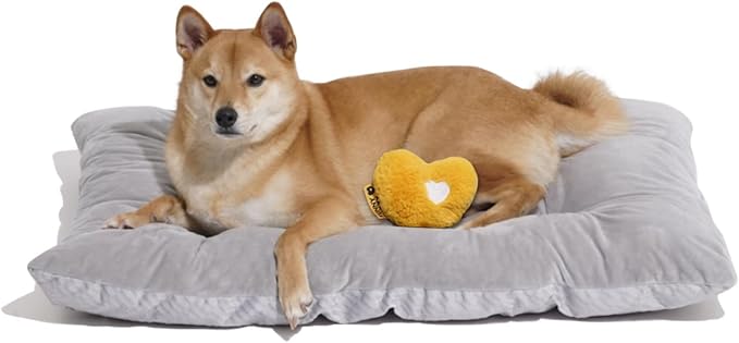 FUNNY FUZZY Dog Bed Crate Pad Mat, Washable Reversible Pet Floor Mats,Fluffy Kennel Pad for Large Sized Dog,Indoor Cats,Sleeping Mattress, 35.4" × 22.8", Light Grey