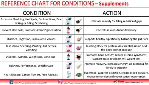 J+int 8.4 fl.oz, 12 Supplement Options (Digestion,Healing,Balance,Mobility,Complete,Allergy,Breath,Cleanse,Calm,Krill,Energy)