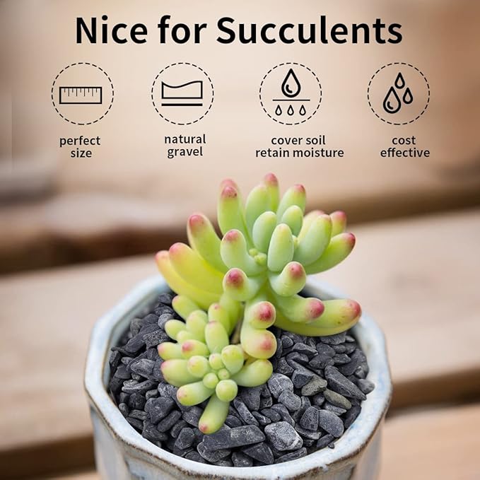 2lbs Black Gravel, 3/8 Inch Black Stones. Decorative Black Rocks for Succulent Plants, Vase, Cactus, Bamboo Plants and Outdoor Garden Landscaping