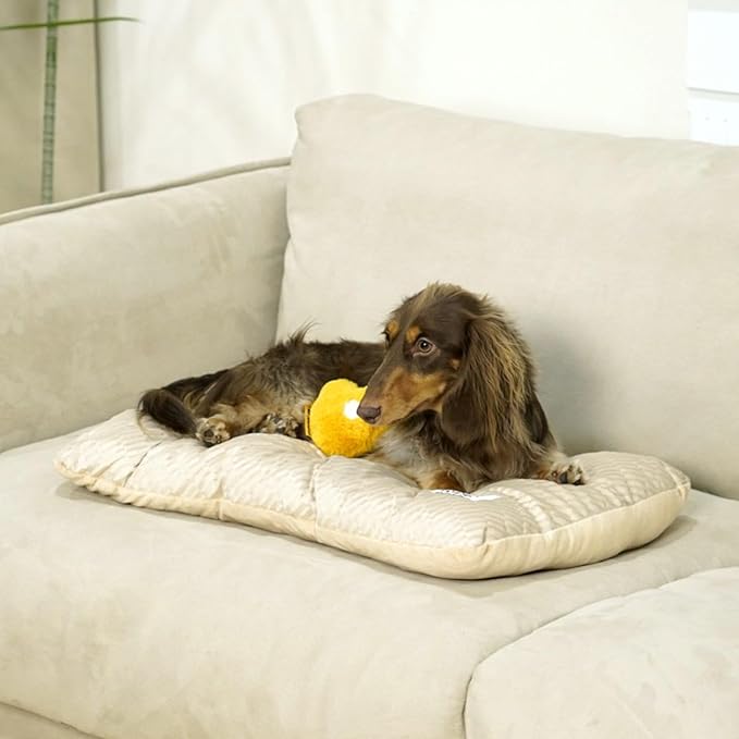 FUNNY FUZZY 2 in 1 Dog Bed Crate Pad Mat, Washable Reversible Pet Floor Mats,Fluffy Kennel Pad for Small Large Sized Dog,Indoor Cats,Sleeping Mattress, 23.6" × 17.9", Beige