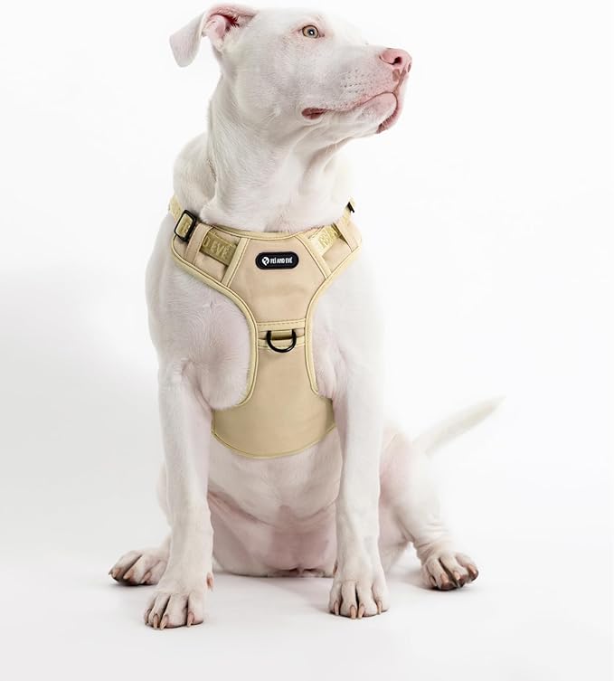 2025 New Edition, Fei & Eve MagEase Dog Harness - 3-Second Magnetic Buckles | 3-Point No-Pull Control | Heavy-Duty 900D Nylon | Dual Safety Handles | Breathable Mesh | Adjustable Fit, Medium,Champagne