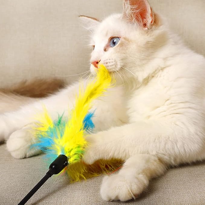 IUHKBH Cat Wands, 6 PCS Interactive Cat Feather Toys Cat Teaser with Bell - 18'' Long Feather Wand for Cat and Kitten