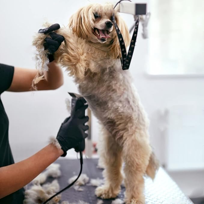 3PCS 40 Blades Dog Grooming Replacement Blades Compatible with Andis Dog Clipper,Ceramic Blade & Stainless Steel Blade