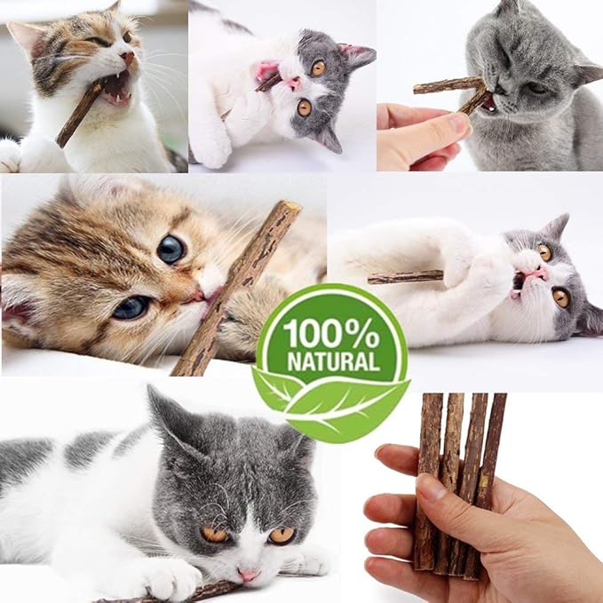 10 PCS Cat Catnip Sticks, Natural Matatabi Silvervine Sticks - Cleaning Teeth Molar Tools Kitten Chew Toy Natural Catnip Cats Toy