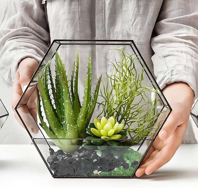 10 lbs Small Black Pebbles for Indoor Plants. 3/8 inch Decorative Black River Rocks for Succulent Potted Plant, Vase, Landscaping and Outdoor Garden Rocks