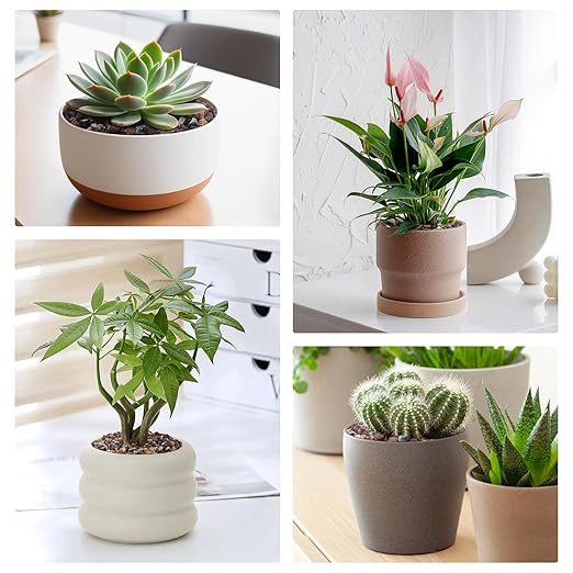 5lbs Small Rocks for Terrarium, Planters Drainage, 1/5 Inch Lava Rock for Bonsai Tree, Decorative Gravel for Succulents, Bamboo, Cactus, Mixed Color