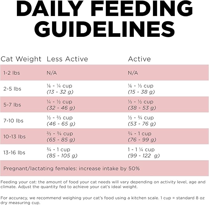 Go! Solutions Sensitivities Limited Ingredient, Grain-Free Dry Cat Food, Salmon Recipe for Sensitive Stomach, 12 lb Bag