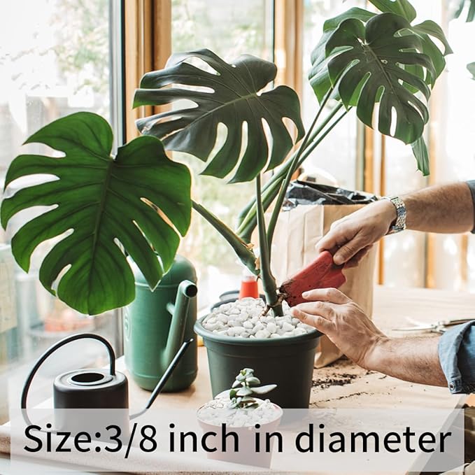 10LB Natural Succulent Gravel Decorative White Rocks - 3/8'' Small White Pebbles for Plants, Decorative Stones, Succulent Rocks Pebbles for Planter, Aquarium Pea Gravel for Landscaping