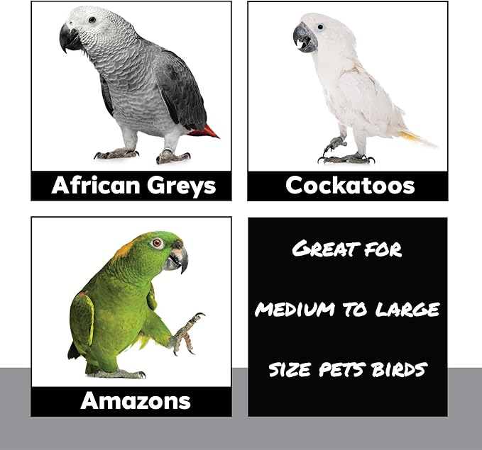 1970 Pk2 Pot and Spoon Delight Features Shiny pots and Spoons with Acrylic Rings and Pacifiers, Handcrafted for African Greys Amazons Macaws