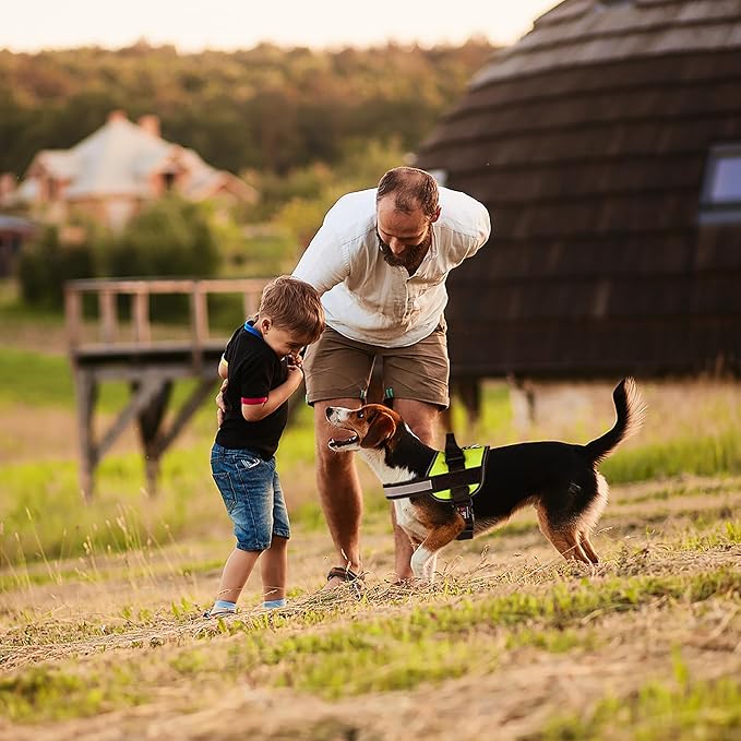 Dogline Dog Harness, Reflective No-Pull Adjustable Vest with Handle for Walking, Training, Breathable, No - Choke Harness for Small, Medium or Large Dogs Room for Patches Girth 27 to 34 in Lime Green