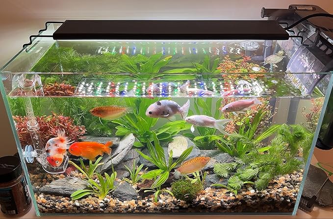 Advanced 7-Row LED Aquarium Light, Easy Setup Controller, Auto On Off Full Spectrum Fish Tank Light, 24/7 Lighting Cycle, 8 Colors, 10 Level Dimming, 48W for 36"-42" Freshwater Planted Tank