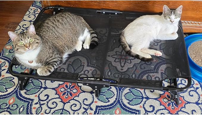 Elevated Dog Bed, Foldable Raised Dogs Bed Outdoor Dog Cots Beds for Large Dogs Cooling Outside Camping Chew-Proof No Assembly Need, Black