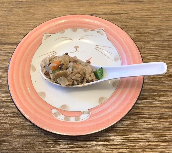 JapanBargain 2476, Set of 4 Japanese Porcelain Plates for Appetizer Dessert Cake Snack, Maneki Neko Smiling Lucky Cat Pattern for Cat Lovers, Cat Dinner Plates, Made in Japan, 6.5-inch, Pink