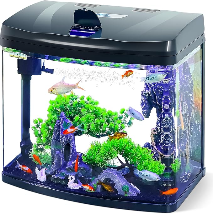 13 Gallon Glass Aquarium Starter Kit with Flip-Top Feeding Port for Betta Fish: Crystal Clear Viewing, Eco-Cycle Filtration, Air Pump, and LED Lighting