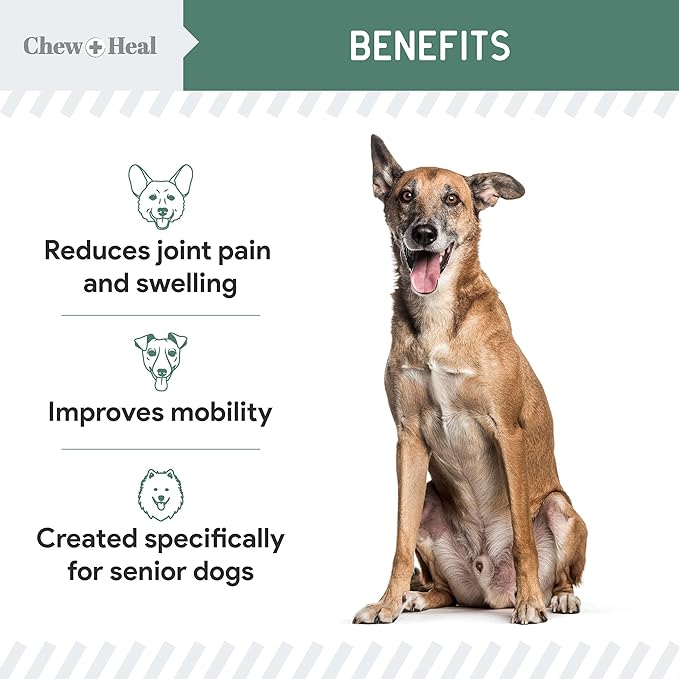 Glucosamine for Dogs Hip and Joint Supplement - 120 Senior Dogs Mobility Soft Chews - Made with Glucosamine, MSM, Chondroitin, Green Lipped Mussels and More - Made in The USA