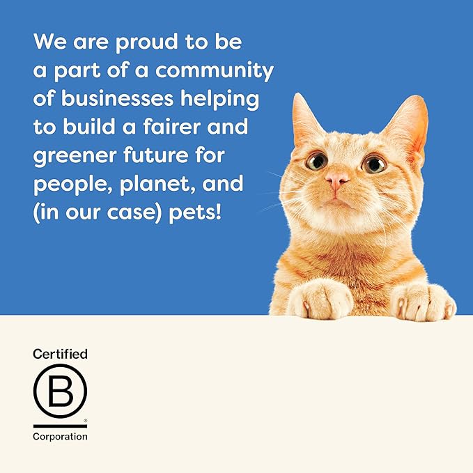 Applaws Natural Wet Cat Food, 24 Count, Limited Ingredient Canned Wet Cat Food, Tuna Fillet with Seaweed in Broth, 5.5oz Cans