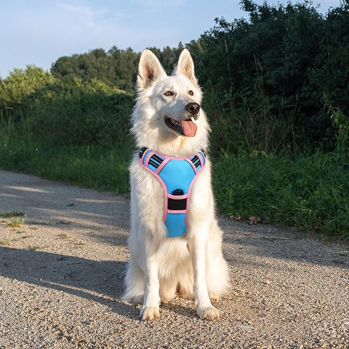 Eagloo Dog Harness for Large Dogs, No Pull Service Vest with Reflective Strips and Control Handle, Adjustable and Comfortable for Walking, No Choke Pet Harness with 2 Metal Rings, Pink & Blue, XL