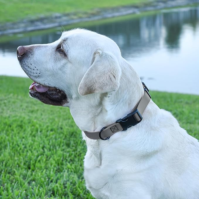 Dogline Biothane Waterproof Dog Collar with Quick Release Buckle Strong Coated Nylon Webbing with Odor- Proof for Easy Care Easy to Clean Fits Small Medium Large Dogs, Grey 1" W 15-25" L