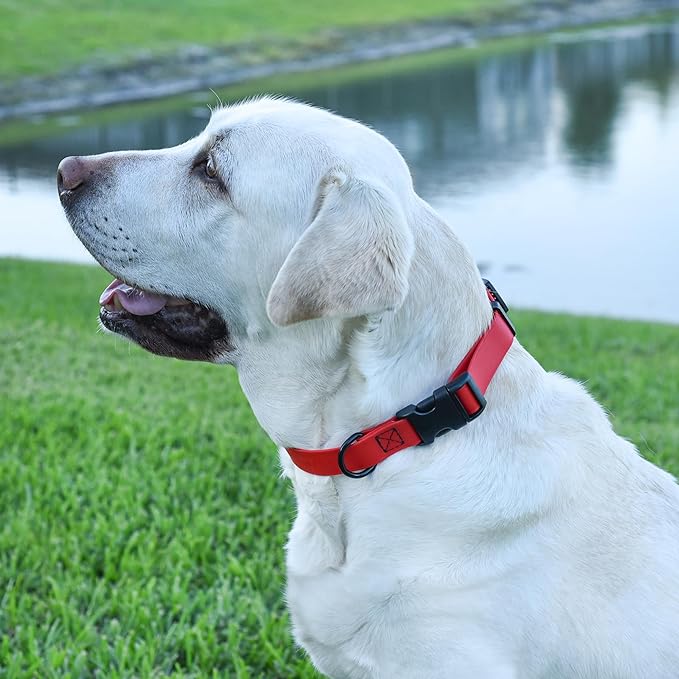 Dogline Biothane Waterproof Dog Collar with Quick Release Buckle Strong Coated Nylon Webbing with Odor- Proof for Easy Care Easy to Clean Fits Small Medium or Large Dogs, Red 3/4" W 12-19" L