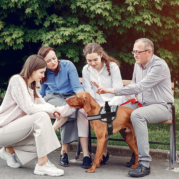 Dogline Dog Harness, Reflective No-Pull Adjustable Vest with Handle for Walking, Training, Breathable, No - Choke Harness for Small, Medium or Large Dogs Room for Patches Girth 15 to 18 in Urban Camo