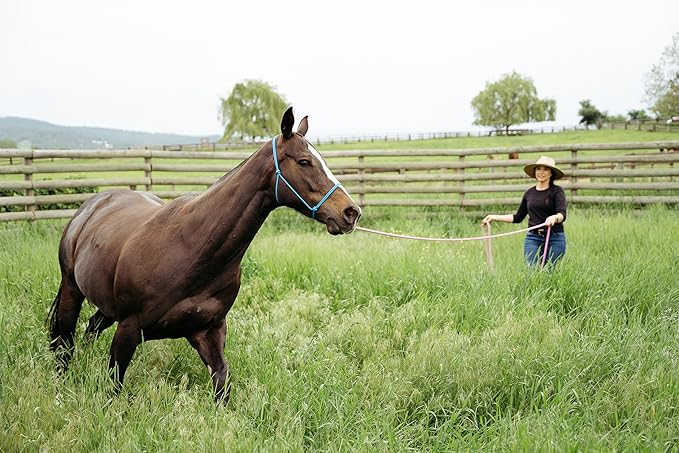 22' Long Line with SS O Ring and Carabiner (Black with Beige)