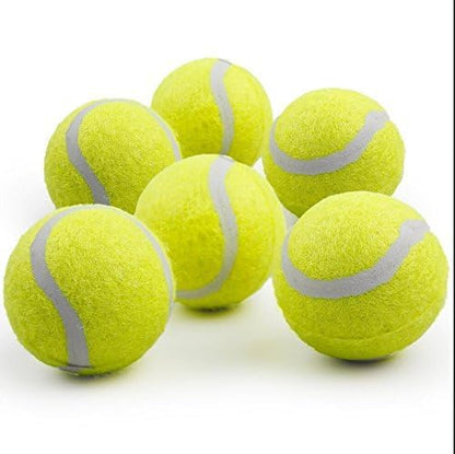 ALL FOR PAWS Dog Tennis Balls for Dogs, Great for Mini Ball Launcher, 6 Pack 2 Inch Tennis Balls