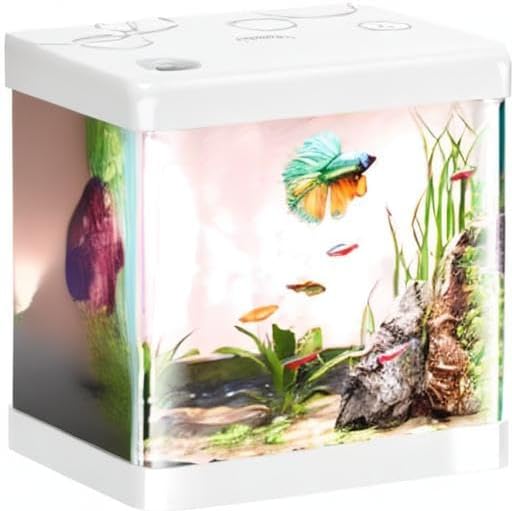 5 Gallon Glass Small Fish Tank,Betta Fish Tank with Filter and Light,White Aquarium Starter Kit.