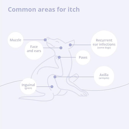 4 Spray Conditioner for Dogs, Cats and Horses, 8 oz