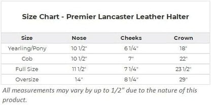 Dura-Tech Premier Lancaster Leather Halter for Horses | Simple Economy Leather Halter with Adjustable Fit & Solid Brass Hardware