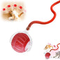 2026 New Interactive Pet Toy Ball, Smart Interactive Toy Ball for Cats & Dogs, Electric Rolling Pet Toy Ball, Rechargeable Interactive Cat Toys for Bored Indoor Cats Kittens to Keep Busy (Red)
