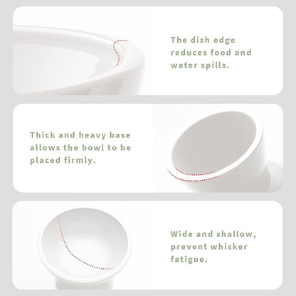 Extra Wide Elevated Ceramic Cat Bowl - 6.2" Shallow Dish for Whisker Fatigue Relief, 5" Height for Easy Feeding, Lead & Cadmium Free, Durable Raised Cat Food Bowls, White