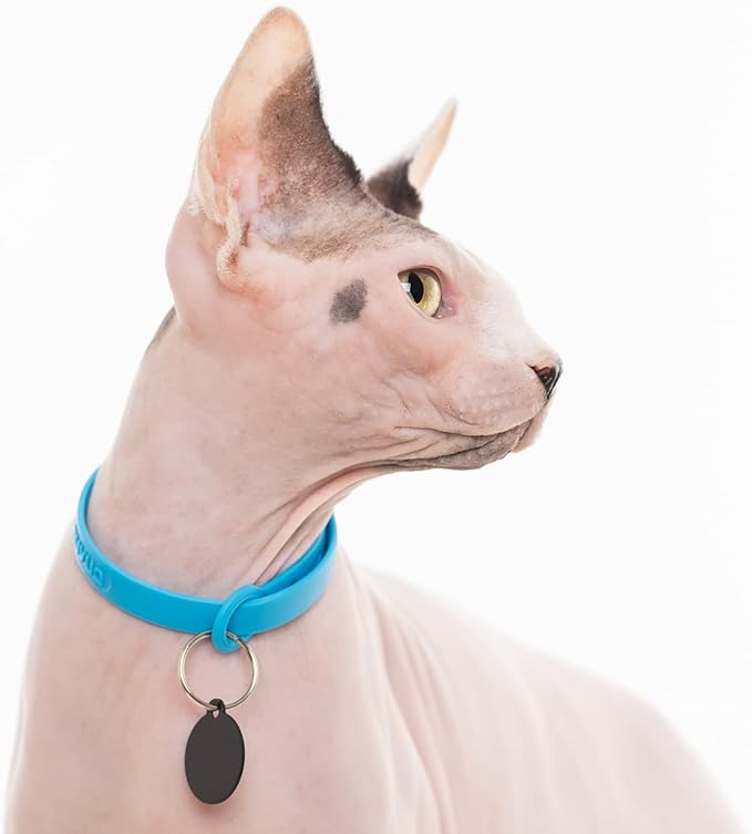 5 Pack Breakaway Cat Collar - Soft, Comfortable, and Lightweight Safety Buckle Collar with ID Tag Ring for Outdoor Cats and Kittens by Nuvuq (6 ⅞" to 10 ¼", Red, Orange, Pink, Blue and Black)