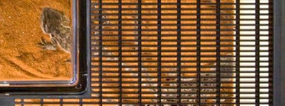 Exo Terra Faunarium, Plastic Reptile Terrarium, Mini, PT2250