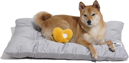 FUNNY FUZZY Dog Bed Crate Pad Mat, Washable Reversible Pet Floor Mats,Fluffy Kennel Pad for Large Sized Dog,Indoor Cats,Sleeping Mattress, 35.4" × 22.8", Light Grey
