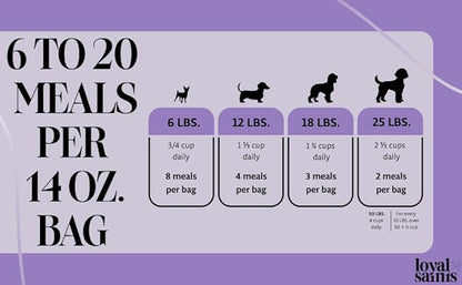 Freeze Dried Raw Dog Food - Premium Chicken Flavor with High Protein & Grain Free Dog Food for Small or Large Breeds and Picky Eaters - Versatile as Meal Topper, Pet Snack & Treats, 14 Oz