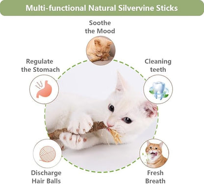3 PCS Silvervine Sticks for Cats - Natural Cat Chew Toys for Teeth Cleaning, Kitten Teething & Aggressive Chewers