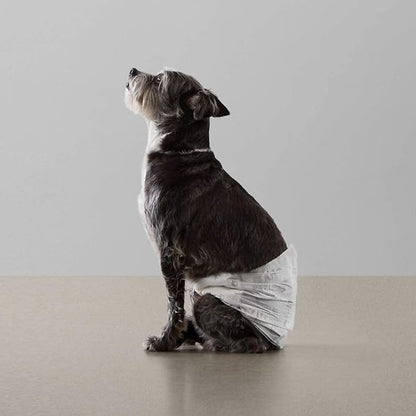 Amazon Basics Absorbent, Leakproof Male Dog Wrap Disposable Diapers, Small, Pack of 50, White