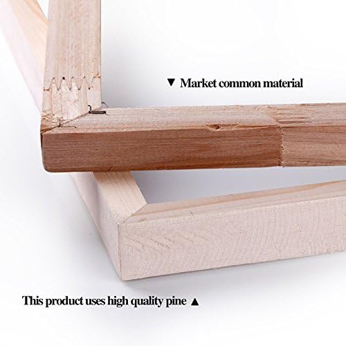 Fantasy Angel Stretched Canvas Wall Art for Living Room Bedroom Home Decoration,Abstract Anime Picture Print Painting Decor Artwork,Mysterious Wing Man Gallery Wrapped Gift,Inner Frame (20x30 Inches)