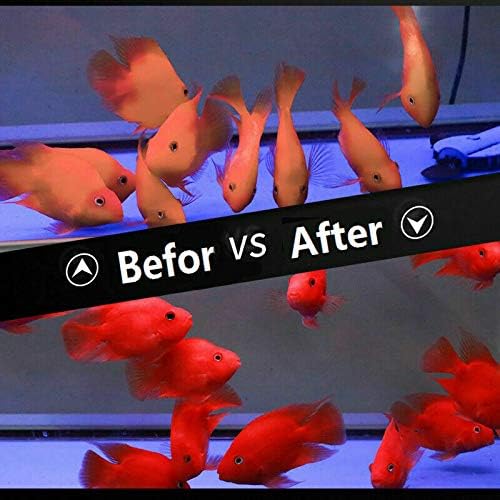 1kg Parrot Pellets Food Color-Enhancing Red Parrot Cichlid Fish Feed Food (1 kg Parrot Fish Pellets)