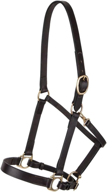 Dura-Tech Premier Lancaster Leather Halter for Horses | Simple Economy Leather Halter with Adjustable Fit & Solid Brass Hardware