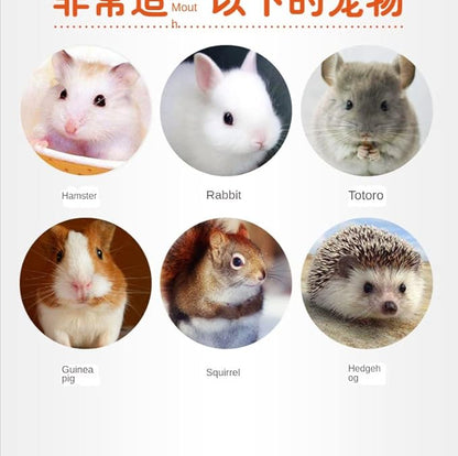 Food for Hamsters, Hedgehogs, Lizards, Frogs, Birds, Hedgehogs, Snacks, Nutritious, Small Animal Food