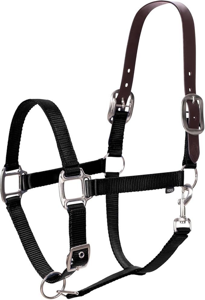 Equinavia Loki Adjustable Breakaway Horse Halter - Black - Warmblood