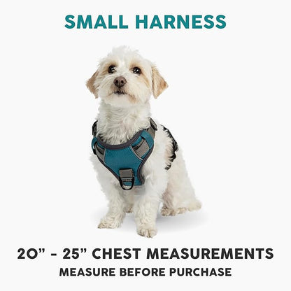 Embark Adventure Dog Harness, Easy On and Off with Front and Back Leash Attachment Points & Control Handle - No Pull Training, Size Adjustable and No Choke (Small - Teal Blue)