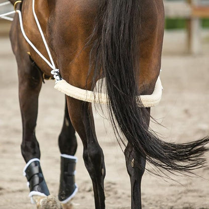 Advanced European Training System | Advanced Training Tool | Enhances Horse Carriage and Headset | Encourages Forward Movement | Strengthens Key Muscles | Not for Beginners