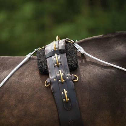 Advanced European Training System | Advanced Training Tool | Enhances Horse Carriage and Headset | Encourages Forward Movement | Strengthens Key Muscles | Not for Beginners