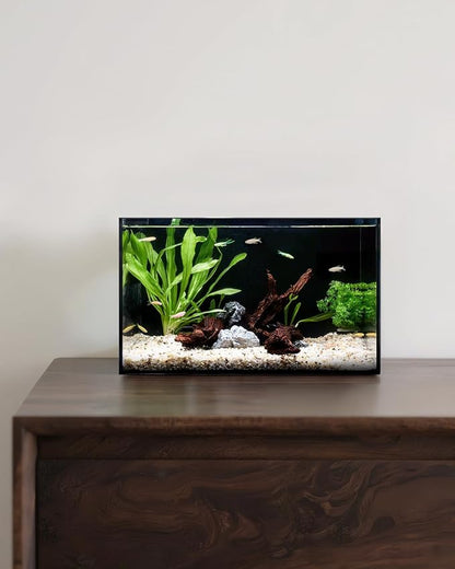 5 Gallon Clear Glass Fish Tank, Easy to Maintain Small Aquariumfor Betta, Goldfish, Snail,Shrimp and Aquatic Planting