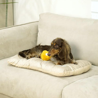 FUNNY FUZZY 2 in 1 Dog Bed Crate Pad Mat, Washable Reversible Pet Floor Mats,Fluffy Kennel Pad for Small Large Sized Dog,Indoor Cats,Sleeping Mattress, 23.6" × 17.9", Beige