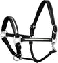 Exion Leather Horse Halter with Padding & Clincher Studs – Adjustable Quick‑Release Crownpiece Halter for Horses – Vegetable‑Tanned Leather in Black & Brown – Cob, Full & Oversize