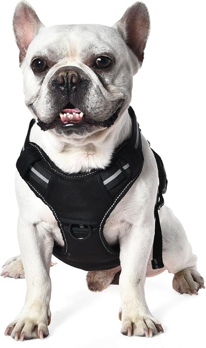Amazon Basics No Pull Dog Harness, Adjustable Front Clip, Tactical Vest, Small, Black